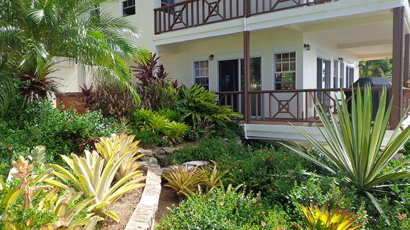 pre-existing garden